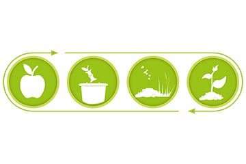 Der Lebenszyklus vom Abfall bis zum Kompost in einer illustrierten Grafik dargestellt.