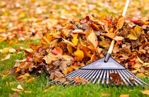 herbstlicher Laubhaufen mit Rechen