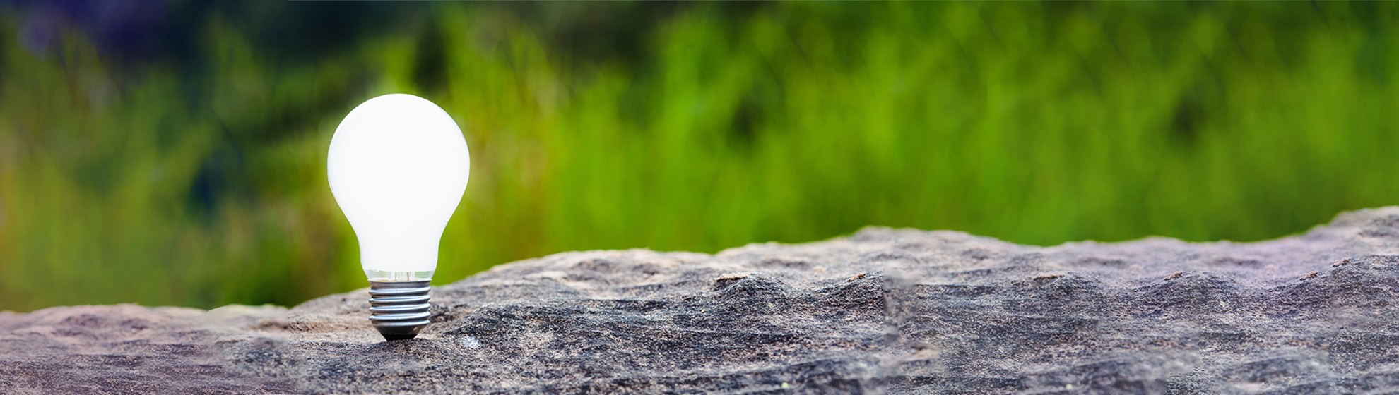 LED-Glühbirne auf einem Stein, im Hintergrund Natur