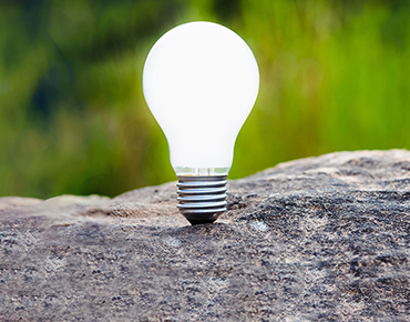 LED-Glühbirne auf einem Stein, im Hintergrund Natur