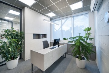 Bild von modernem Büro mit Pflanzen und LED Büro Beleuchtung.