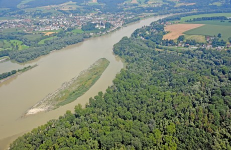 Ausgleichsmaßnahmen Marktau