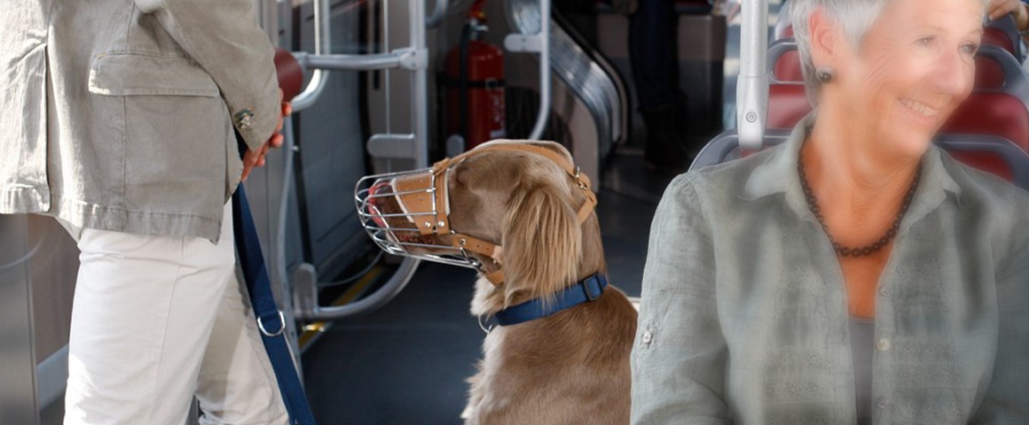 Ein Mann steht mit seinem Hund in der Straßenbahn, der Hund trägt einen Maulkorb und wird an der Leine gehalten.