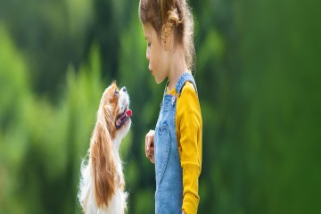 Kleines Kind spielt mit Hund auf der Wiese