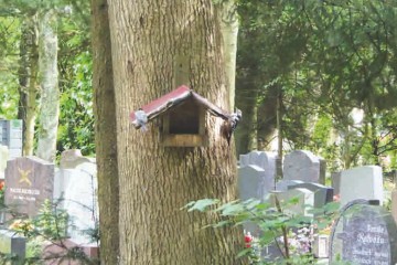 Bild eines Vogelhauses am Friedhof.