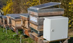 Bienenstrockwaage mit LoRaWAN und Photovoltaik-Technik