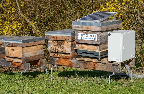 Bienenstockwaage mit LoRaWAN- und Photovoltaik-Technik