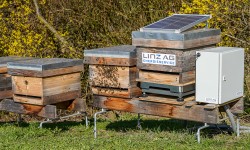 Bienenstockwaage mit LoRaWAN- und Photovoltaik-Technik