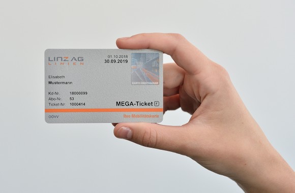 Hand hält MEGA-Ticket in die Kamera