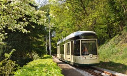 Bild von Pöstlingbergbahn, welche sich auf der Strecke zum Pöstlingberg nach oben begibt.