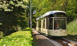 Die Bergbahn bei ihrer Fahrt auf den Pöstlingberg.