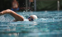 Schwimer mit Schwimmbrille und -haube schwimmt im Sportbecken