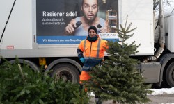 kostenlose Christbaumentsorgung mit der LINZ AG 