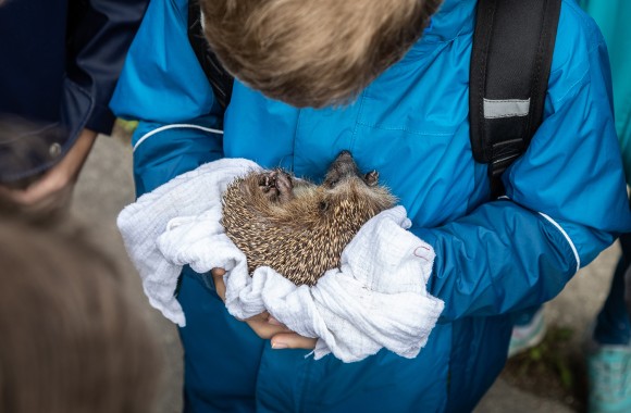 Schüler in blauer Jacke hält Igel in seinen Händen