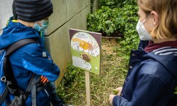 zwei Schüler mit Mund-Nasenschutz stehen vor einer Infotafel