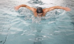 Schwimmer mit Schwimmbrille -und haube schwimmt im Sportbecken Hummelhof