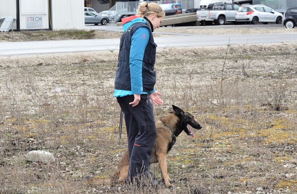 Hundeführerin mit Suchhund im Gelände.