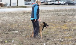 Hundeführerin mit Suchhund im Gelände.
