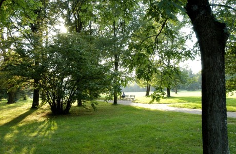 Klima- und Umweltschutz am Beispiel des Trinkwasserschutzgebiets Wasserwald