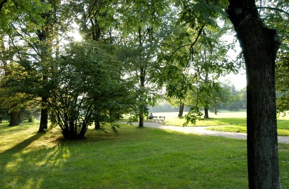 Der Wasserwald Scharlinz an einem sonnigen Tag.