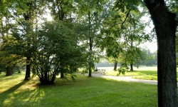 Der Wasserwald Scharlinz an einem sonnigen Tag.