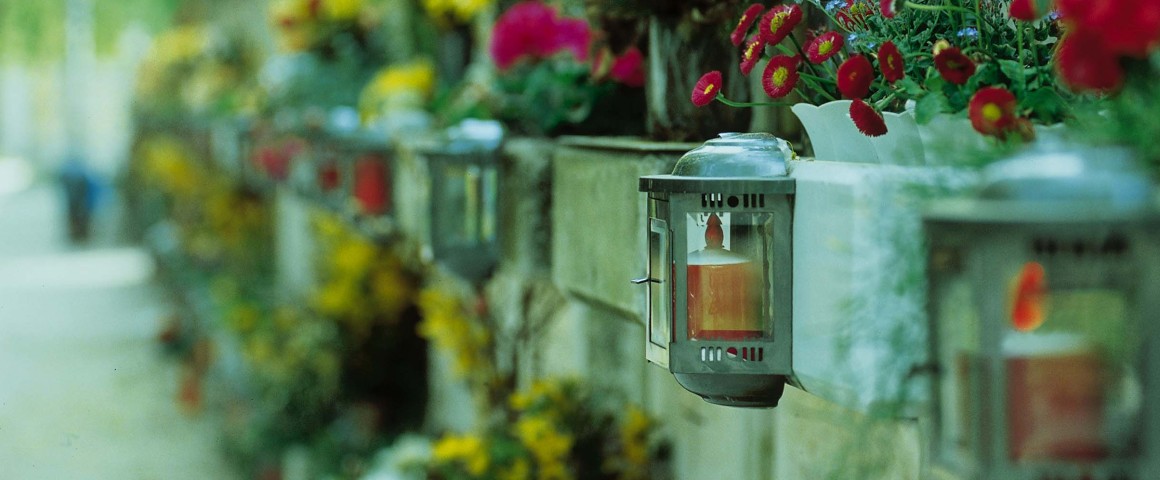 Kerze in Halterung hängt zwischen Blumen