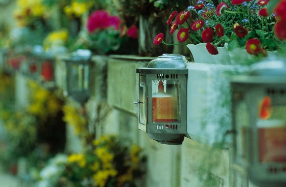 Kerze in Halterung hängt zwischen Blumen