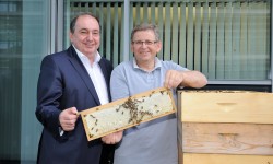 Bienenprojekt der LINZ AG - GD Erich Haider und Imker Heinz Wahlmüller