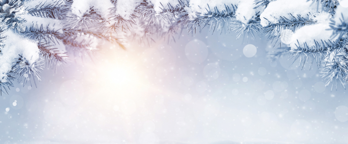 Tannenzweige mit Schnee