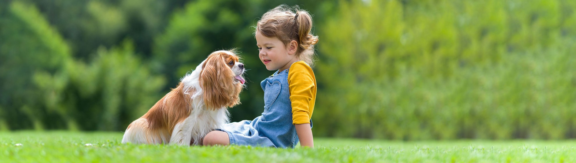 Ein kleine Mädchen sitzt mit einem Hund auf einer Wiese