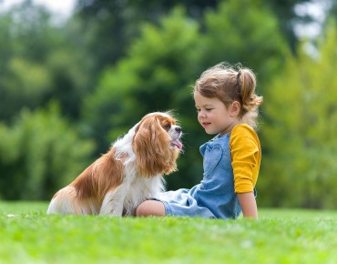 Ein kleine Mädchen sitzt mit einem Hund auf einer Wiese