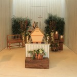 Sarg steht in einem hellem Raum mit natürlichen Farben, grünen Plfanzen und vielen Holzakzenten