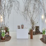 Urne steht auf weißem Podest in einem Raum mit weißen Wänden. Links und rechts sind Waldböden aufgestreut mit abgeschnittenen Baumstämmen und hohen Birken. Auf jedem Baumstamm stehen Kerzen. Neben der Urne auf dem Podest ist ein Foto des*der Verstorbenen.