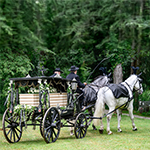 Bestattungskutsche