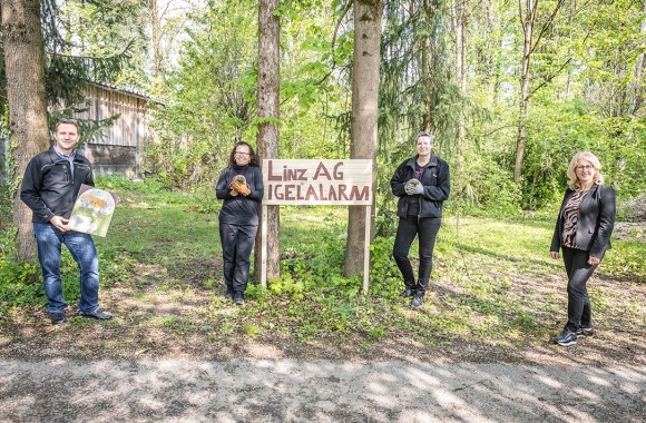 3 Frauen und 1 Mann stehen im Wald vor Schild mit Aufschrift "Linz AG Igelalarm"