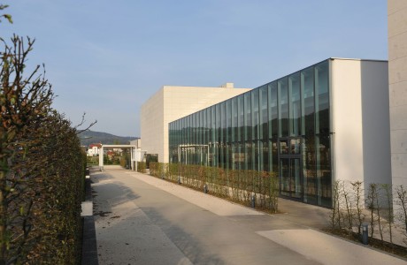 Urnenhain Glasfront