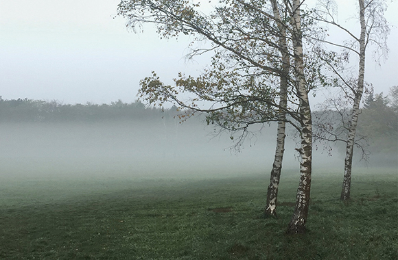 nebelige Landschaft